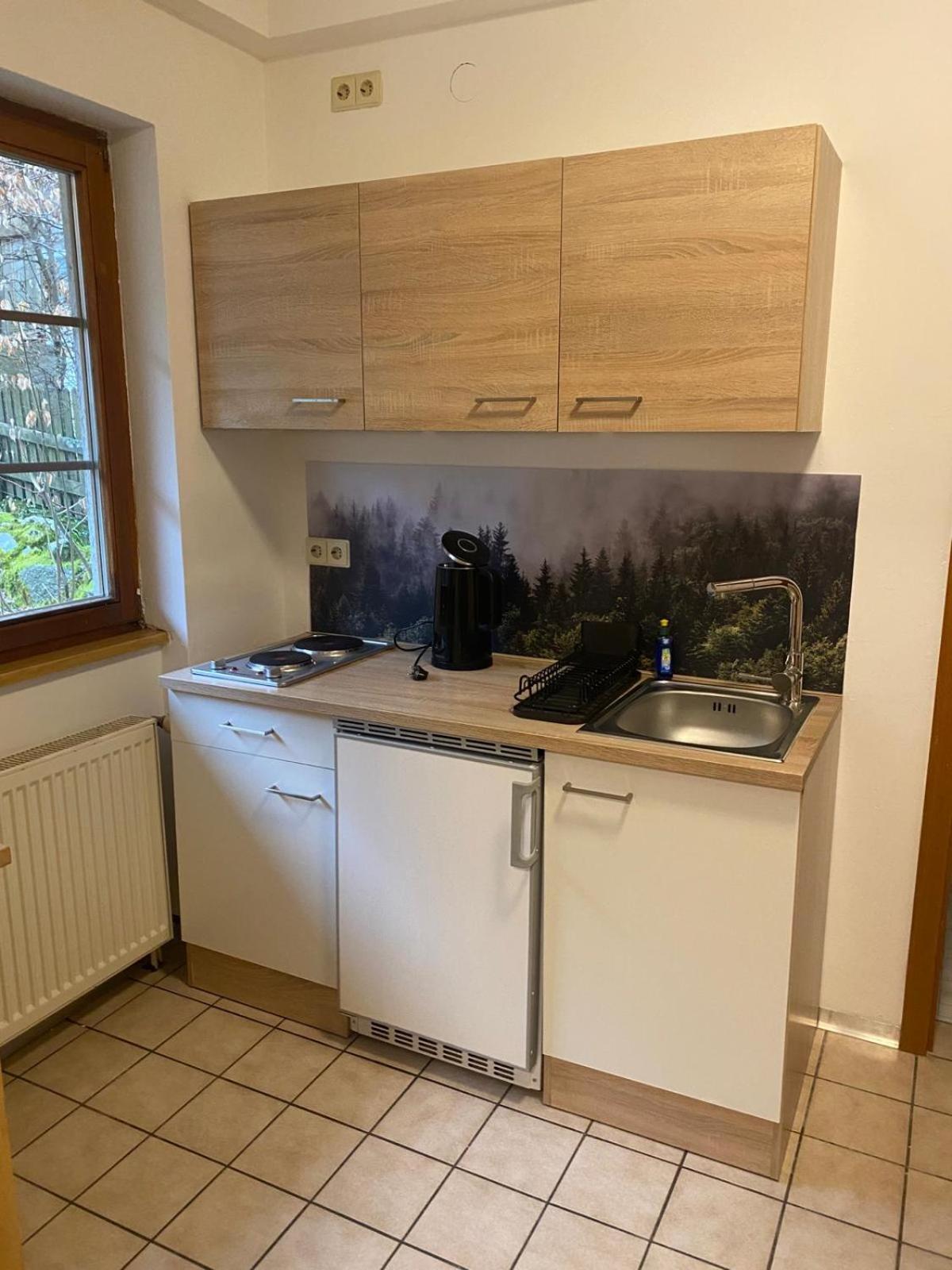 Forest Apartment-Forest Escape Menzenschwand St. Blasien Extérieur photo