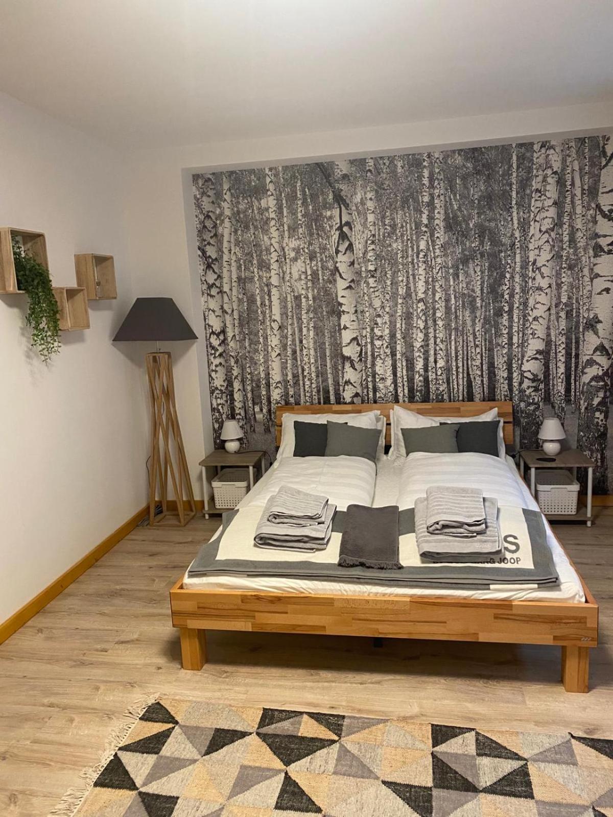 Forest Apartment-Forest Escape Menzenschwand St. Blasien Extérieur photo